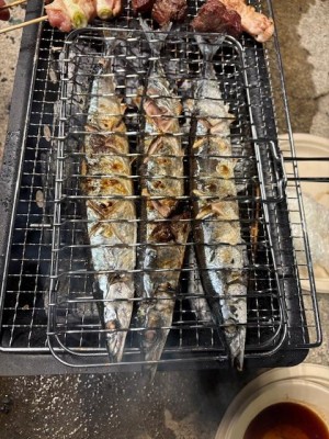 image1_2.jpeg